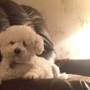 Meet your Posher, Marilyn